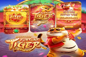 555rr apk